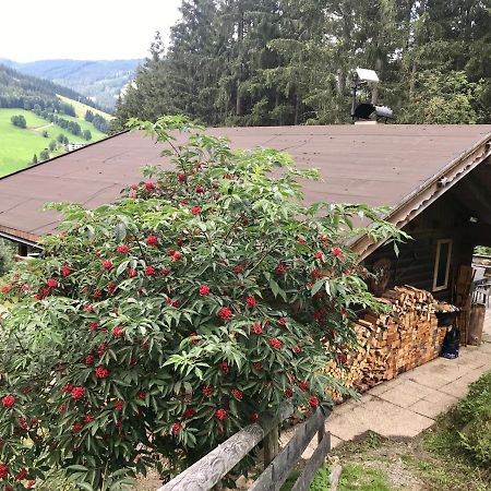 Wasserfallhuette Saalbach エクステリア 写真