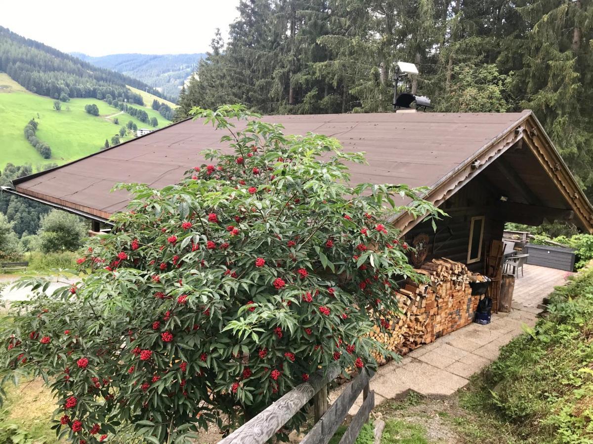 Wasserfallhuette Saalbach エクステリア 写真